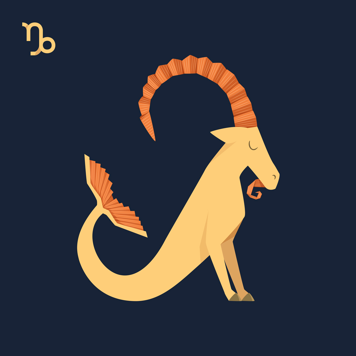 Zodiac Signs - Capricorn